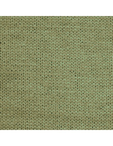 Hilatura Dralón, color C-250 Verde Ocre.